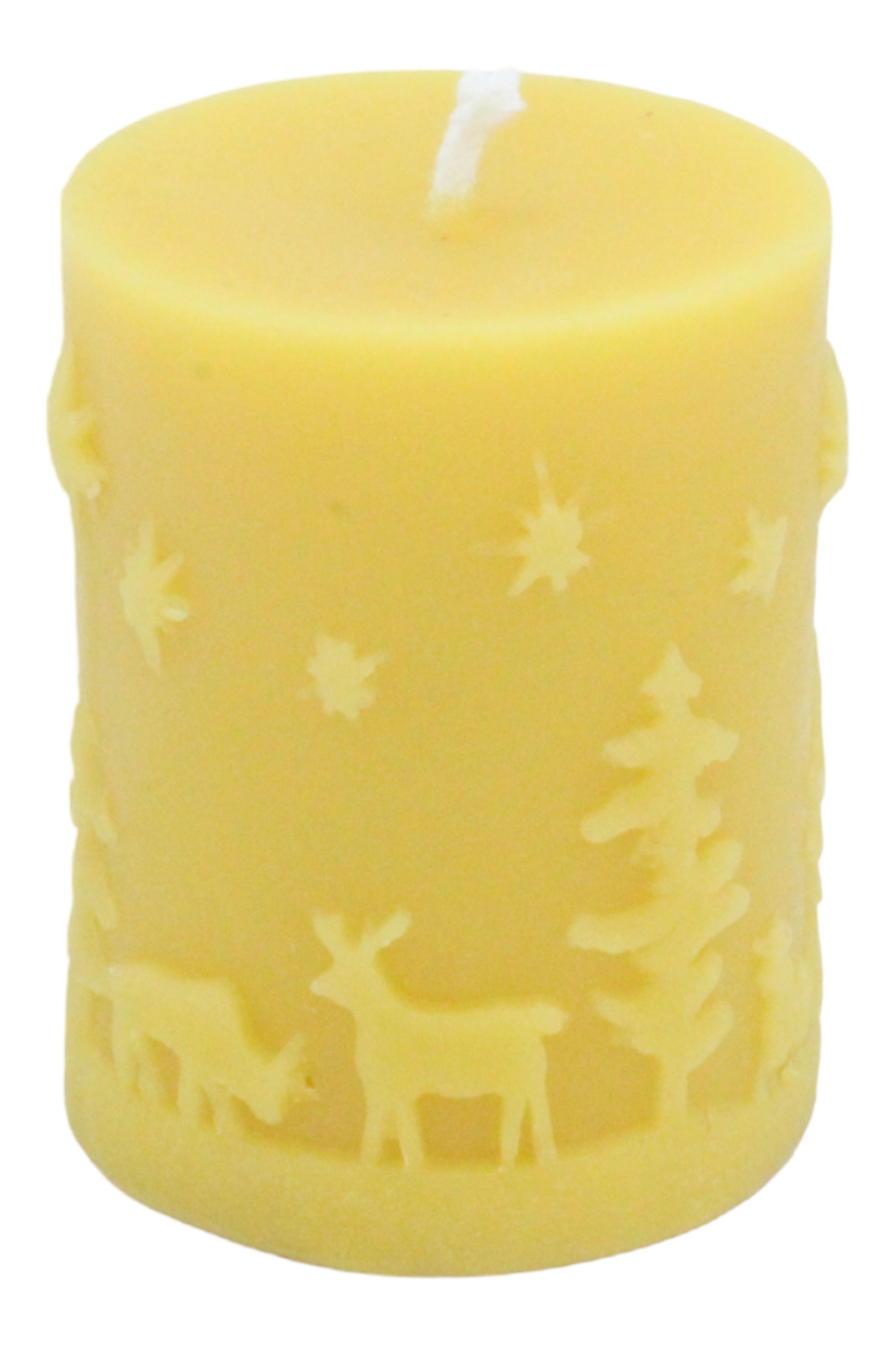 Winter Scene Candle