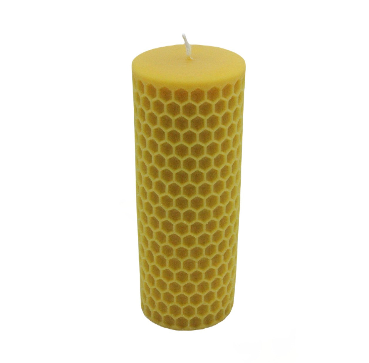 6.5" x 2.5" Honey Bee Cell Candle